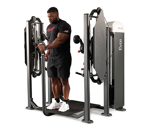 Независимый бицепс/трицепс стоя Panatta Fit Evo 1FE155