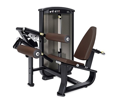 Купить Сгибание ног сидя Intenza BASE EL-08 в Москве