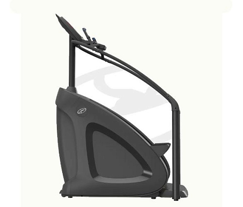 Лестница Oxide Fitness C3 (Climber)