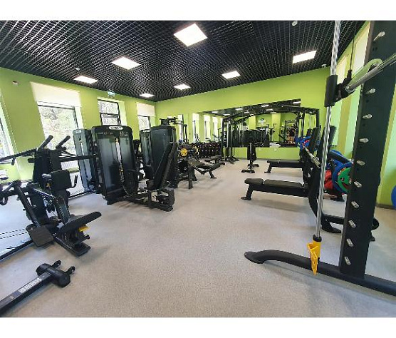 Приведение/отведение бедра Spirit Fitness SP-3516 стек 90 кг фото4