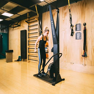 Купить Concept 2 SkiErg PM5+подставка Лыжный тренажер в Москве