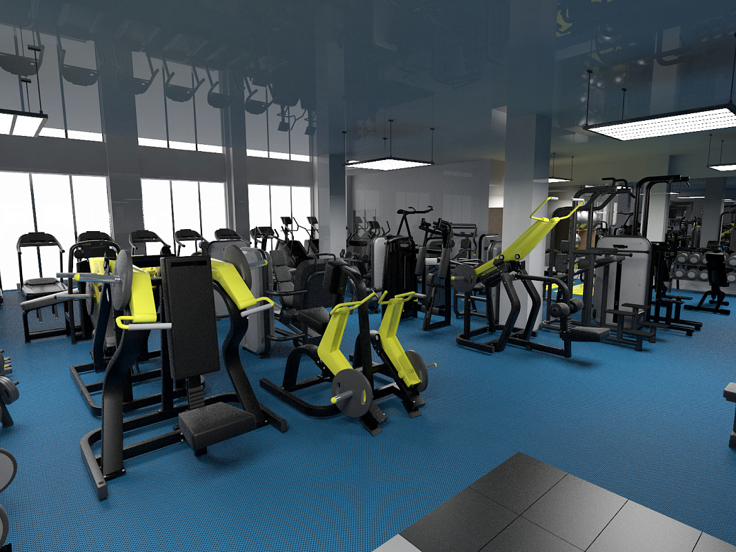 Коммерческий тренажерный зал