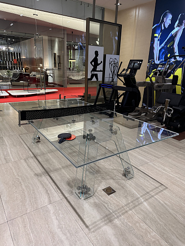 Стол для настольного тенниса GoldGym Ice Table