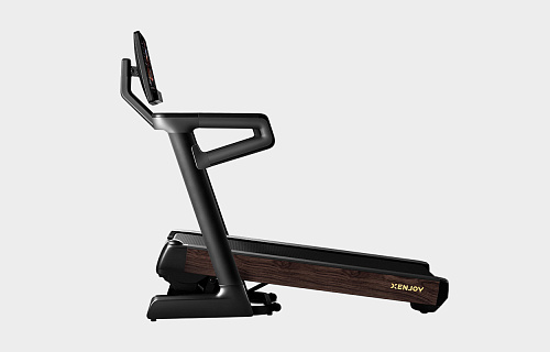  Домашняя беговая дорожка Xenjoy XT5