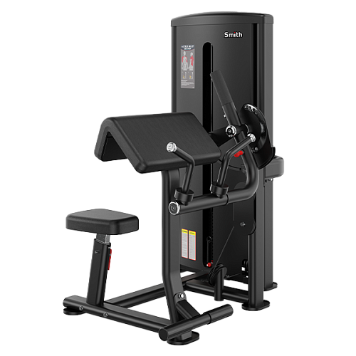 Бицепс / Трицепс Smith Fitness Excellence BS012 Купить Бицепс / Трицепс Smith Fitness Excellence BS012 в Москве