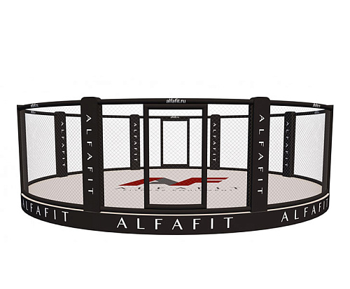 Купить MMA Арена тренировочная AlfaFit на техническом помосте высотой 0,3 м в Москве