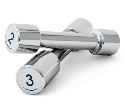 Купить Гантели Panatta 1DM2 2 кг в Москве