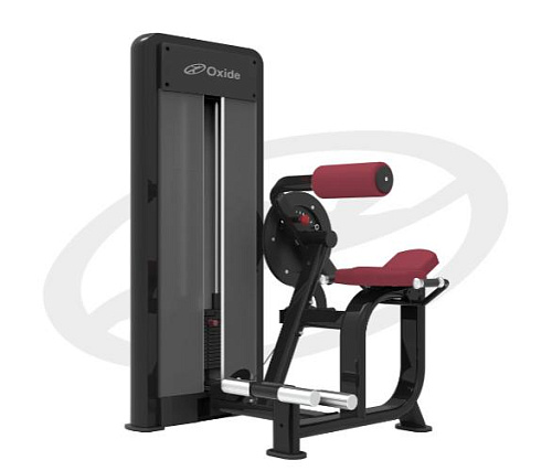 Пресс / Бэк-машина Oxide Fitness D008 Купить Пресс / Бэк-машина Oxide Fitness D008 в Москве
