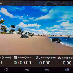 Купить Беговая дорожка Titanium Physiotech A460 TFT в Москве