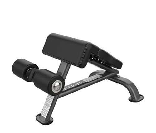 Скамья для пресса True Fitness SF-1010 Купить Скамья для пресса True Fitness SF-1010 в Москве