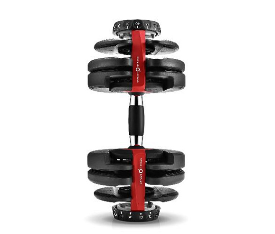 Гантель регулируемая Oxygen FLEXER 24 кг фото2