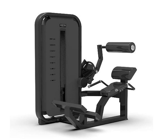 Разгибание спины Bronze Gym MIGHT 23 профессиональный