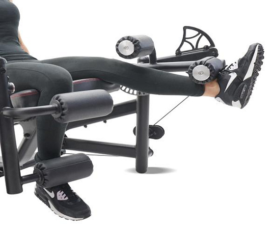 Разгибание и сгибание ног Inspire DMEC1 фото10