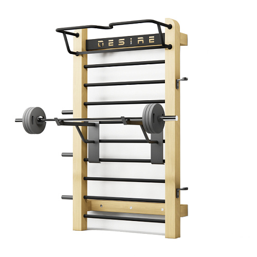 Купить Комплект дополнительного оборудования для занятий со штангой Desire Power Set в Москве