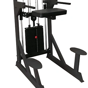 Купить Гравитрон профессиональный BRONZE GYM PARTNER ML-701 в Москве