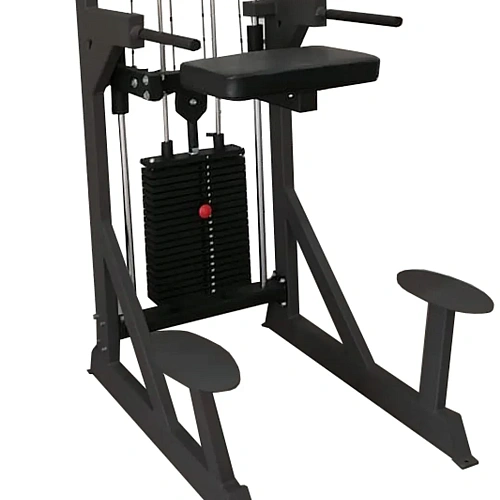 Гравитрон профессиональный BRONZE GYM PARTNER ML-701