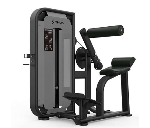Купить Пресс / разгибание спины SHUA Back Extension SH-G6817 в Москве