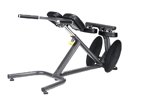 Купить Гиперэкстензия 45° Sportsart Fitness A993 в Москве