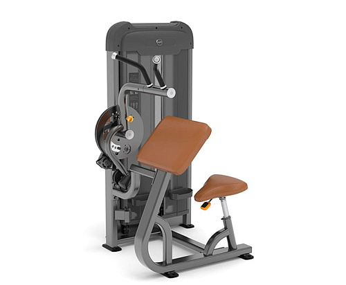 Бицепс/Трицепс Anyfit PS03-66 Купить Бицепс/Трицепс Anyfit PS03-66 в Москве