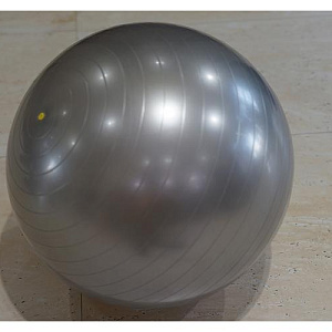 Купить Technogym Мяч Wellness  в Москве