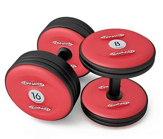 Гантели Panatta 1MF32 32 кг