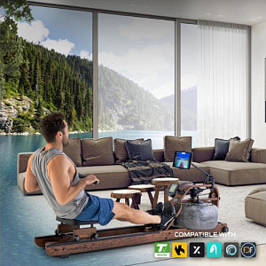 Купить Гребной тренажер First Degree Fitness Viking 3XL в Москве
