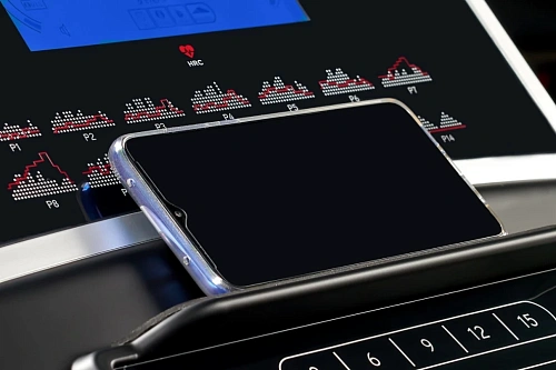 Беговая дорожка Titanium Physiotech TGF