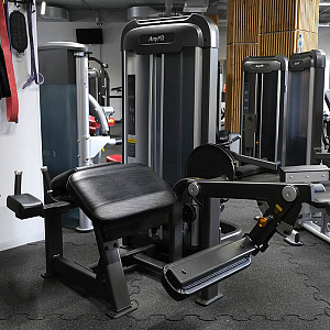 Купить Силовой тренажер Anyfit Сгибание ног PE203-84 в Москве