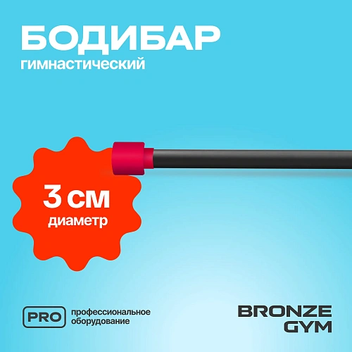 Гимнастическая палка бодибар Bronze Gym, 4 кг