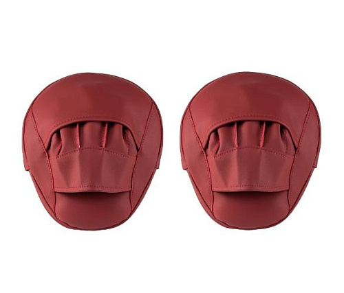 Лапы боксерские Targex PRO красные