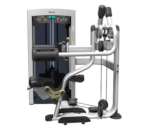 Дельтовидные мышцы Aerofit Impulse FE9724