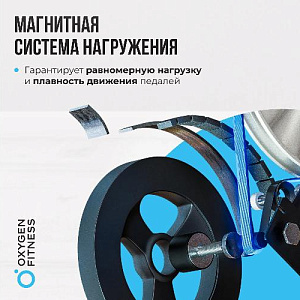 Купить Кардиотренажер Oxygen SKIFORCE горнолыжный  в Москве