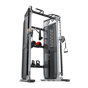 Купить DAP Matrix Fitness Versa VS-VFT + VS-FTS30 Функциональный комплекс в Москве