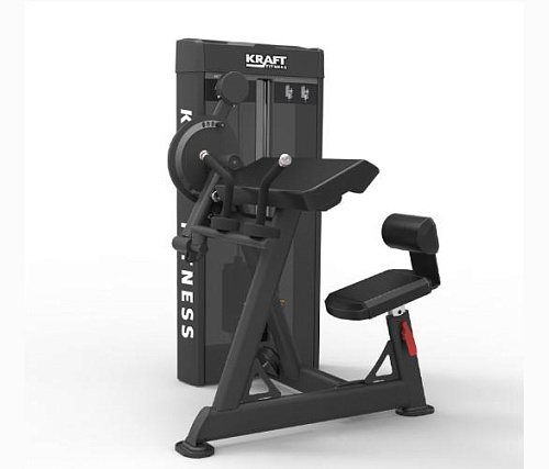 Бицепс / Трицепс сидя Kraft Fitness KFADBT Купить Бицепс / Трицепс сидя Kraft Fitness KFADBT в Москве