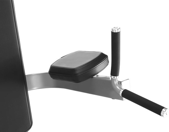 Пресс / Брусья / Турник Freemotion Fitness Epic EF207 фото2