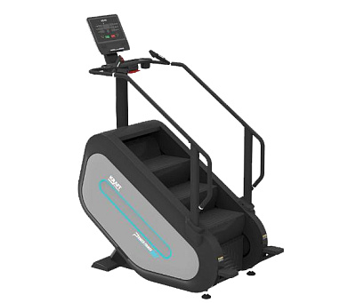 Лестница Kraft Fitness PP007