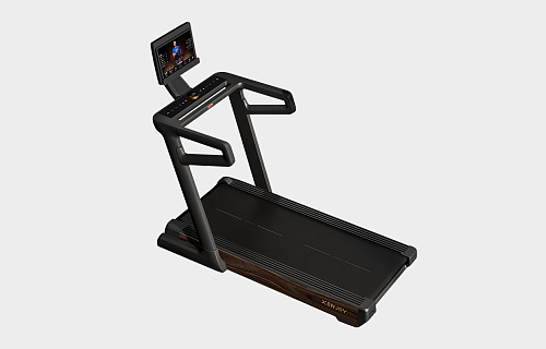  Домашняя беговая дорожка Xenjoy XT5