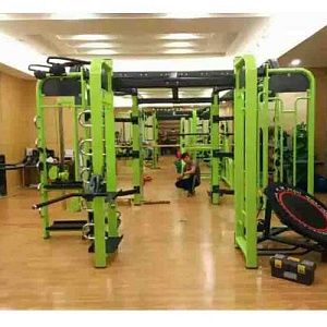 Купить Многофункциональный комплекс Pangolin Fitness SYNERGY 360XM станция для функционального кругового тренинга в Москве