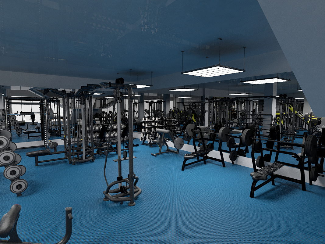Коммерческий тренажерный зал