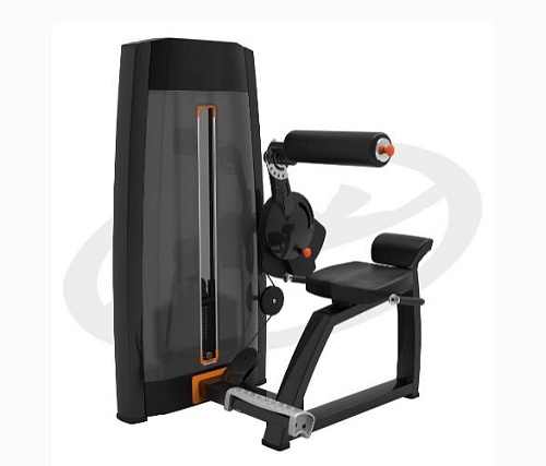 Бэк-машина (разгибание спины) Oxide Fitness F018 Купить Бэк-машина (разгибание спины) Oxide Fitness F018 в Москве
