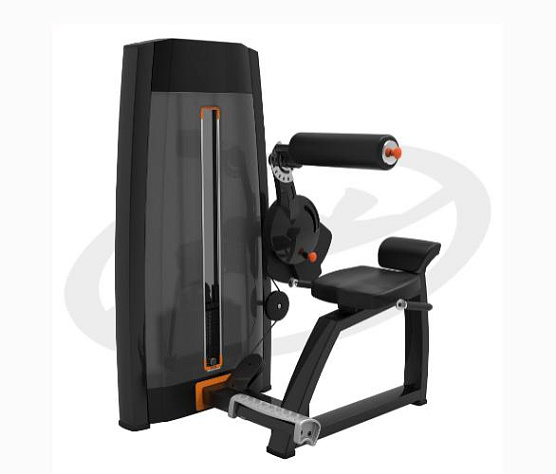 Грузоблочный тренажер на верхнюю часть тела Oxide Fitness F018 бэк-машина (разгибание спины)
