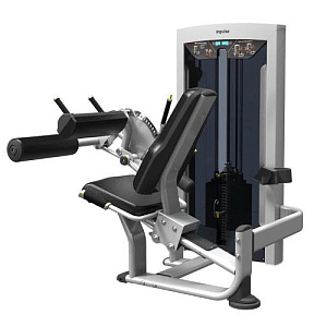 Купить Грузоблочный тренажер на нижнюю часть тела Aerofit Impulse FE9706 Сгибание ног сидя в Москве