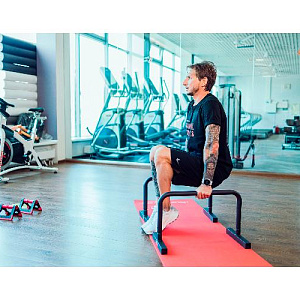 Купить Original FitTools Брусья мобильные (паралетсы) в Москве