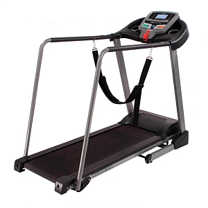 Купить Беговая дорожка DFC Walker Evo T-S1 в Москве