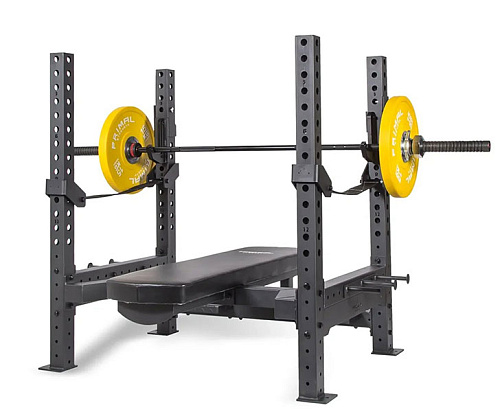 Купить Олимпийская скамья горизонтальная Primal PSWB0024 (со страховочными стропами) в Москве