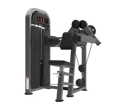 Дельт-машина Realleader M2-1002 Купить Дельт-машина Realleader M2-1002 в Москве