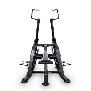 Купить Силовой тренажер Anyfit Вертикальная тяга на свободных весах T02 в Москве