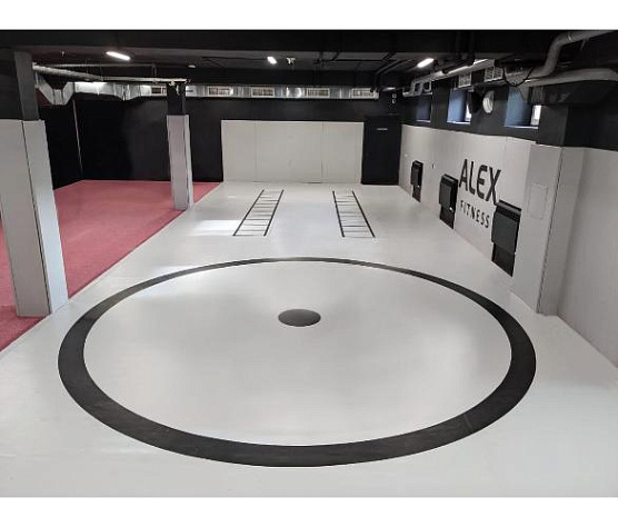 Борцовский ковер Targex (ПВВ 180 кг/м3 40 мм ПВХ 650гр/м2)