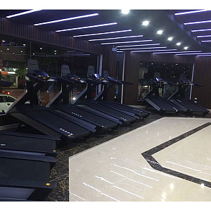 Купить Беговая дорожка Ultra Gym UG-POWER X Line в Москве