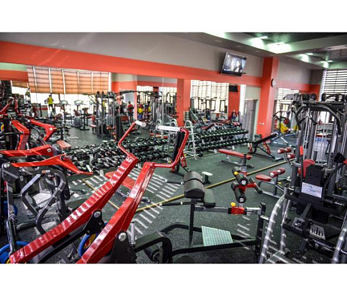 Римский стул Aerofit Impulse SL7013